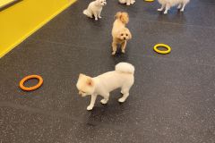 2025-11-01-17-17-00_34