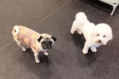 2025-11-10-14-42-19_09