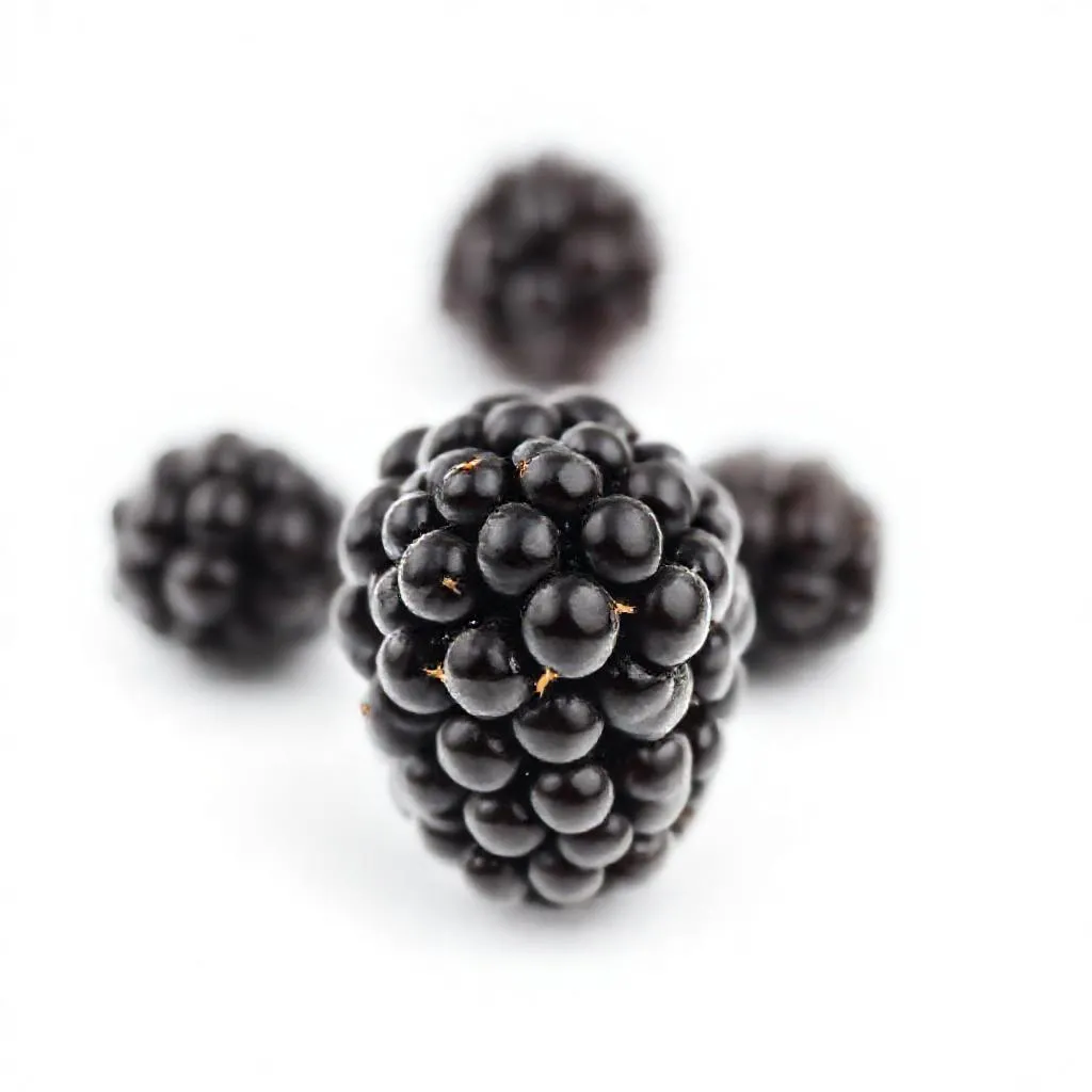 강아지 블랙베리 먹어도 되나요? 안전성 및 주의사항