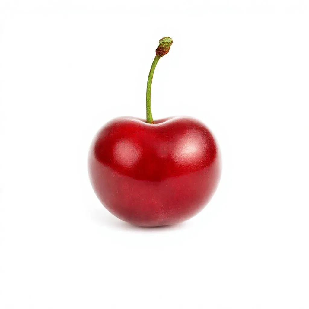 강아지 체리 먹어도 되나요? 안전성 및 주의사항