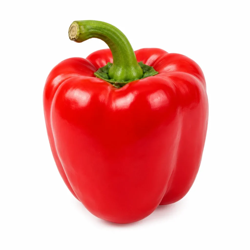 강아지 파프리카 먹어도 되나요? 안전성 및 주의사항