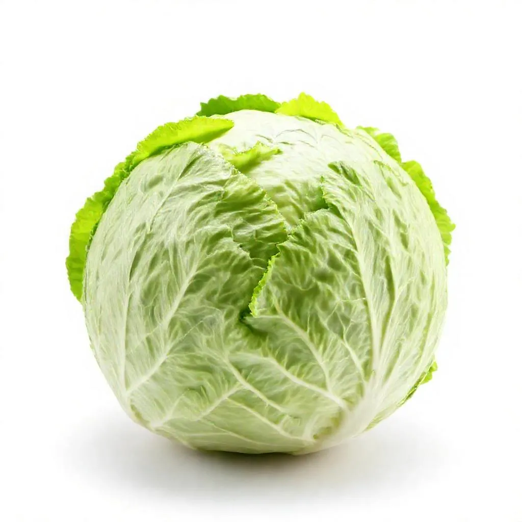 강아지 배추 먹어도 되나요? 안전성 및 주의사항