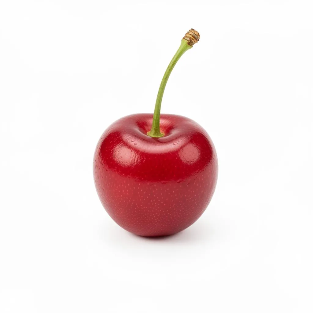강아지 앵두 먹어도 되나요? 안전성 및 주의사항