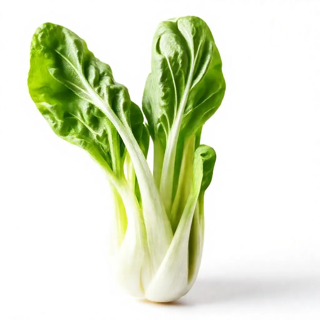 강아지 청경채 먹어도 되나요? 안전성 및 주의사항