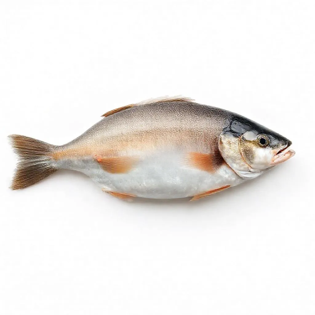 강아지 대구 먹어도 되나요? 안전성 및 주의사항