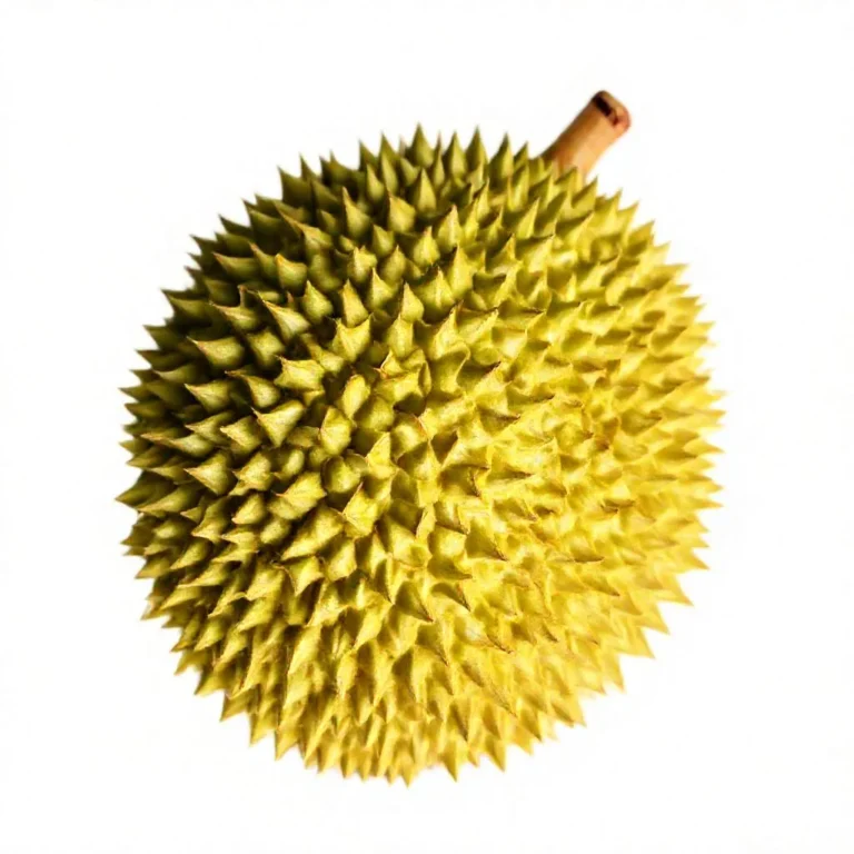 강아지 두리안 먹어도 되나요? 안전성 및 주의사항