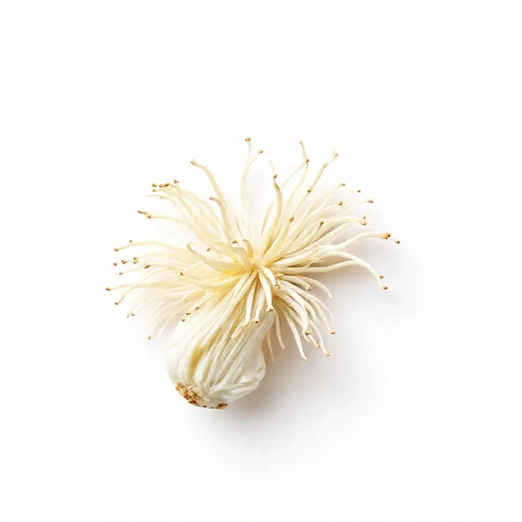 강아지 팽이버섯 먹어도 되나요? 안전성 및 주의사항