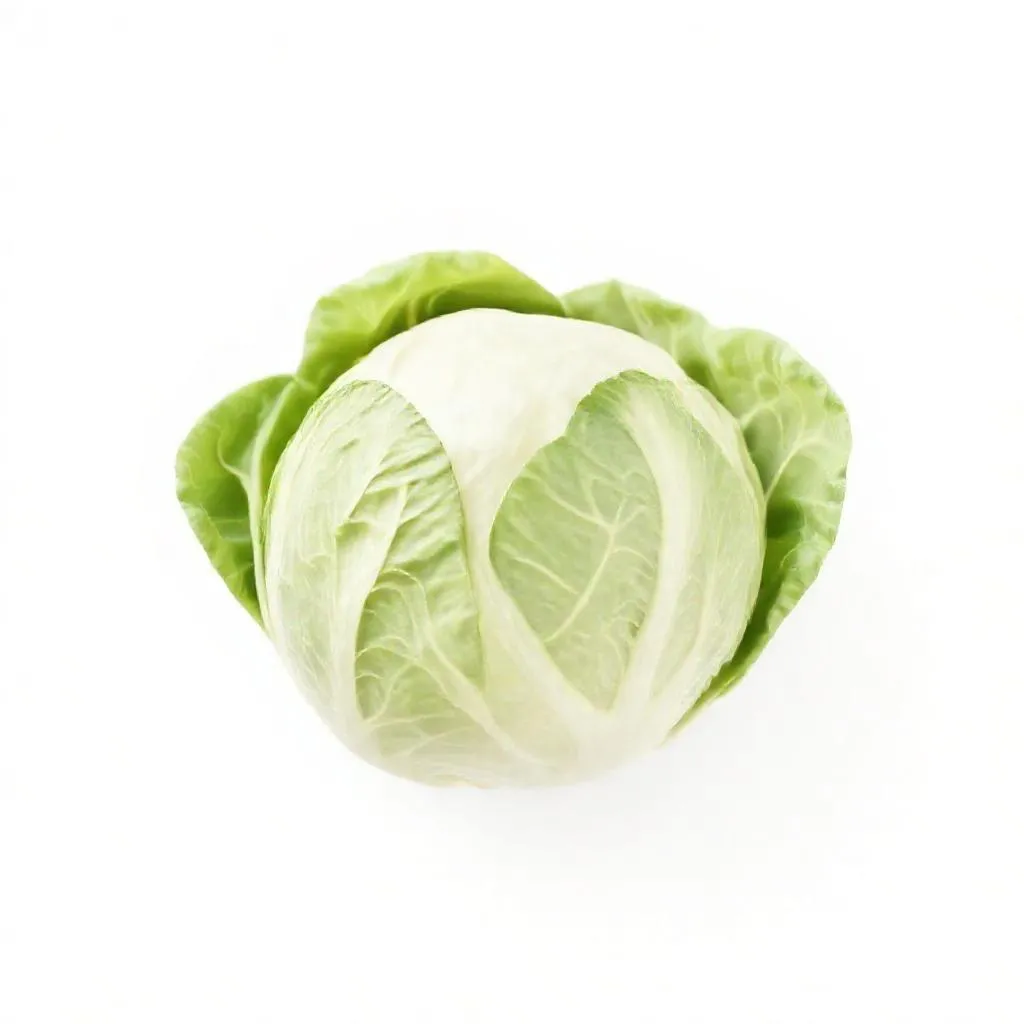 강아지 꽃양배추 먹어도 되나요? 안전성 및 주의사항