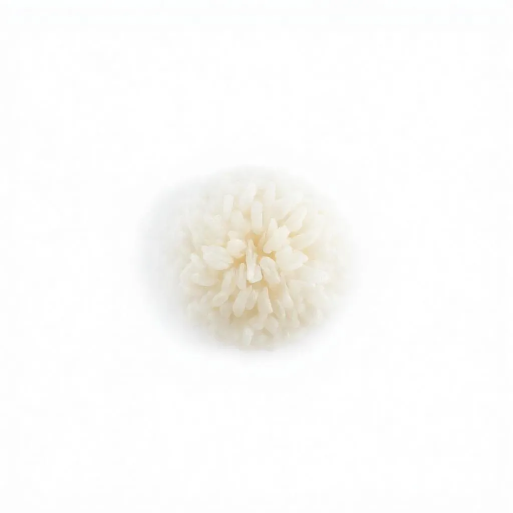 강아지 찹쌀 먹어도 되나요? 안전성 및 주의사항