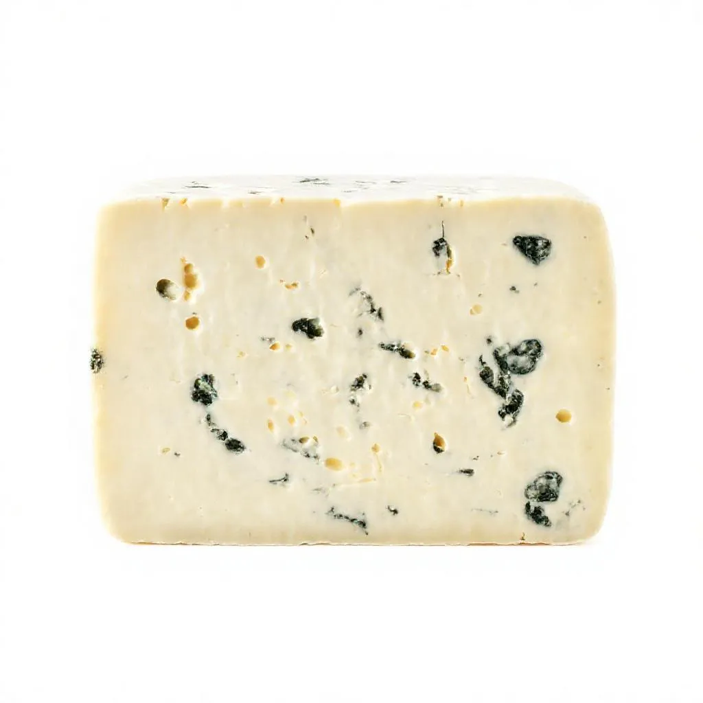 강아지 고르곤졸라치즈 먹어도 되나요? 안전성 및 주의사항