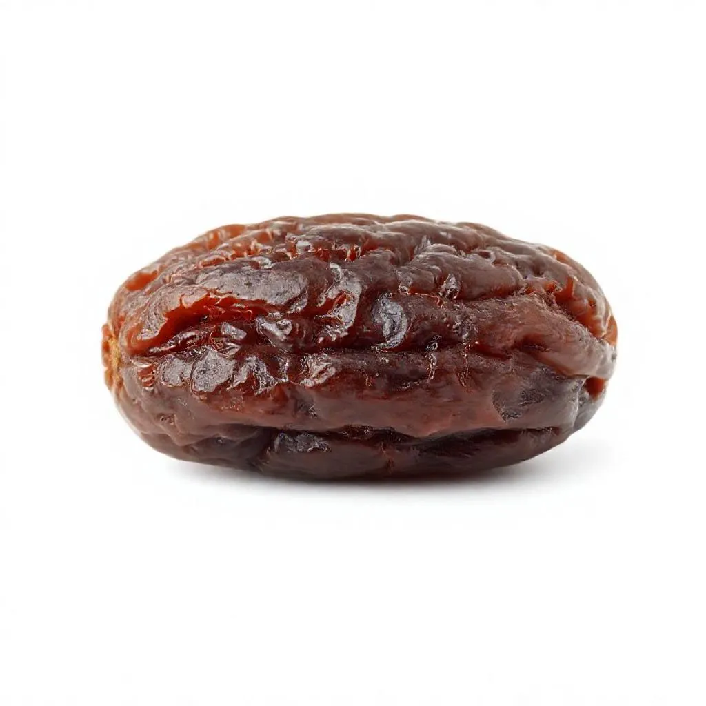 강아지 건포도 먹어도 되나요? 안전성 및 주의사항