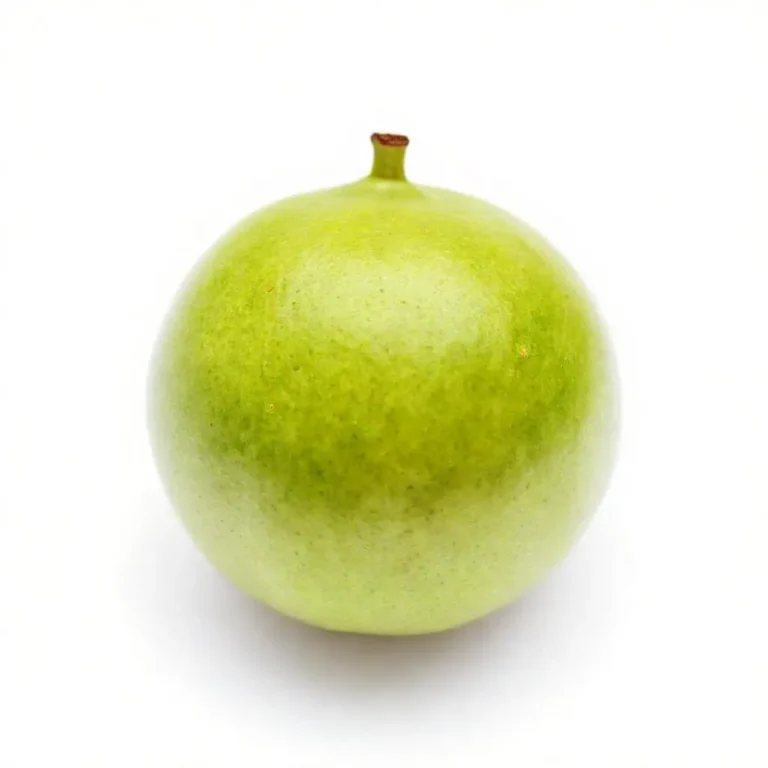 강아지 구아바 먹어도 되나요? 안전성 및 주의사항