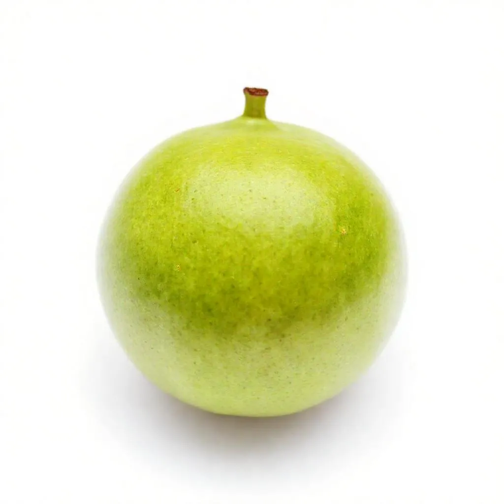 강아지 구아바 먹어도 되나요? 안전성 및 주의사항