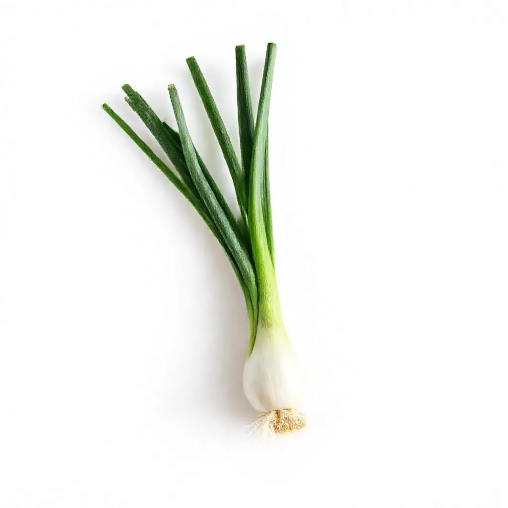 강아지 대파 먹어도 되나요? 안전성 및 주의사항