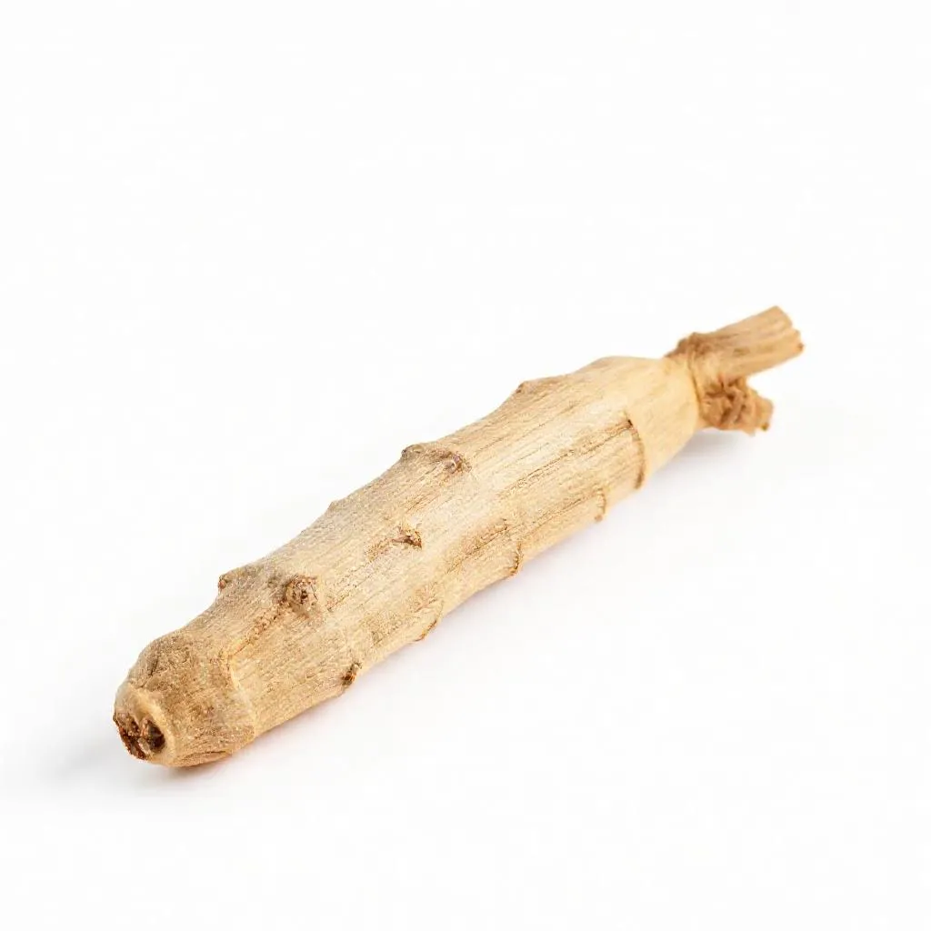 강아지 리코리스 먹어도 되나요? 안전성 및 주의사항