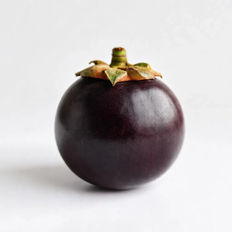 강아지 망고스틴 먹어도 되나요? 안전성 및 주의사항