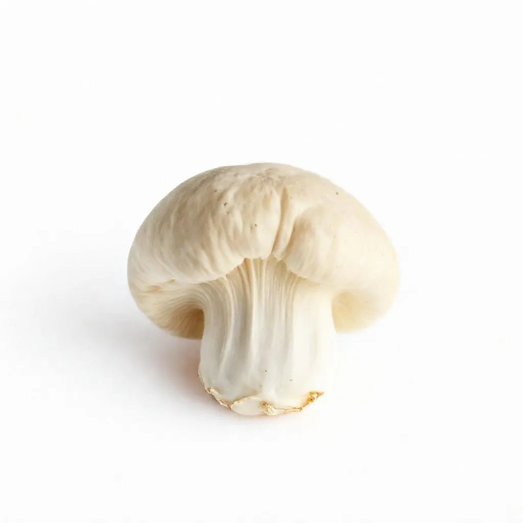 강아지 느타리버섯 먹어도 되나요? 안전성 및 주의사항