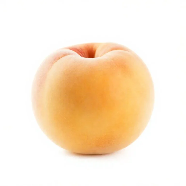 강아지 천도복숭아 먹어도 되나요? 안전성 및 주의사항