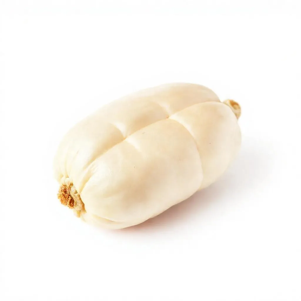 강아지 푸마슈타지오 먹어도 되나요? 안전성 및 주의사항