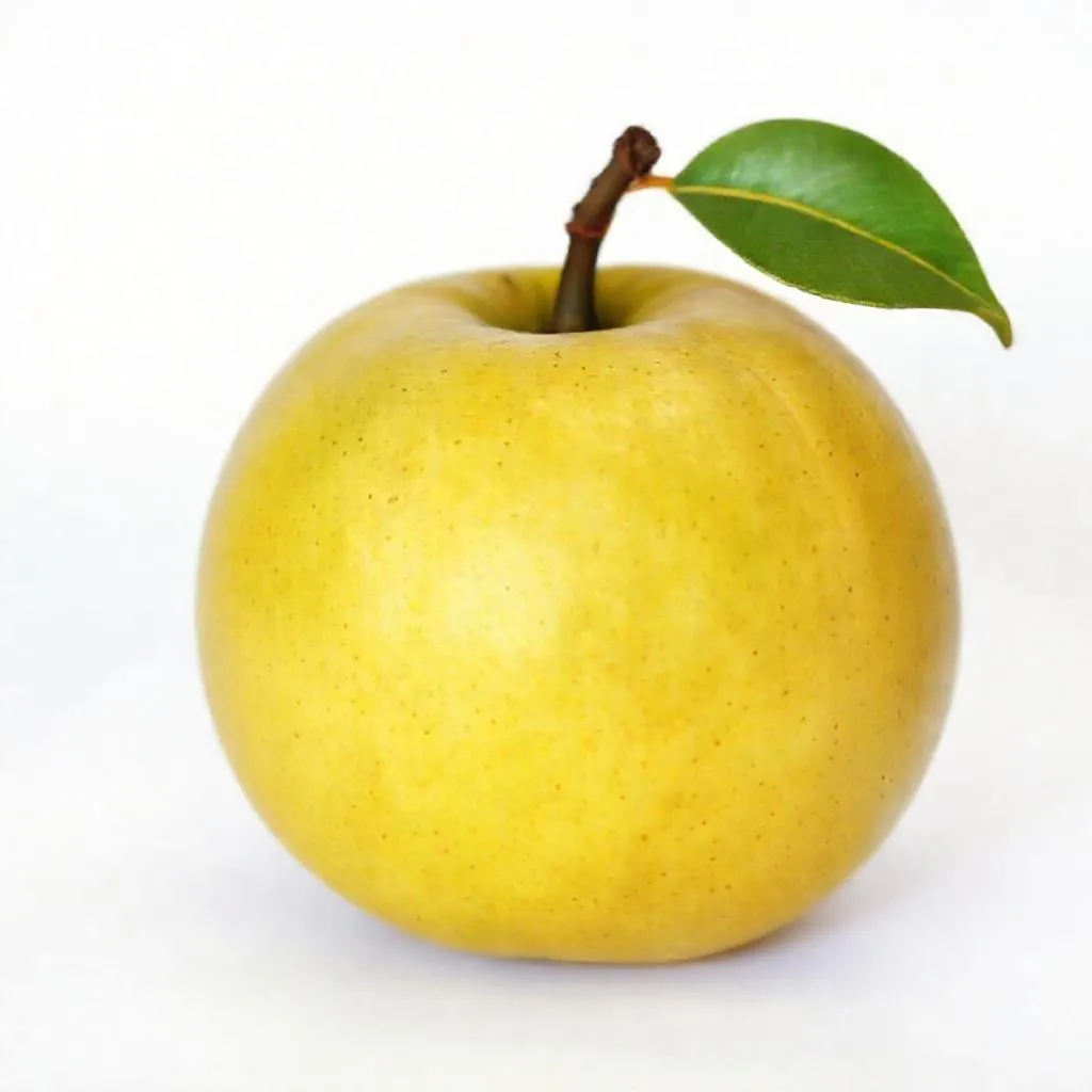 강아지 모과 먹어도 되나요? 안전성 및 주의사항