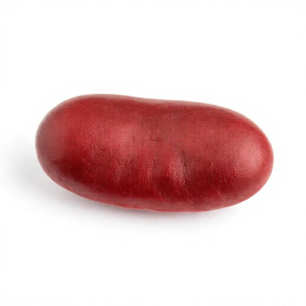 강아지 팥 먹어도 되나요? 안전성 및 주의사항