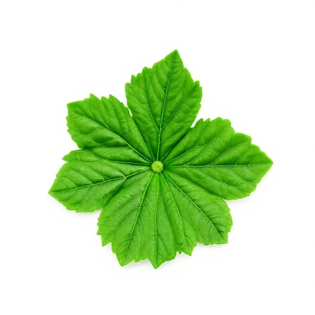 강아지 쑥갓 먹어도 되나요? 안전성 및 주의사항