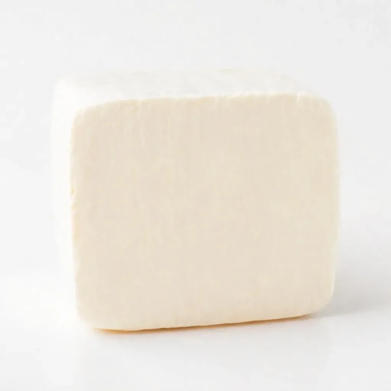 강아지 두부 먹어도 되나요? 안전성 및 주의사항