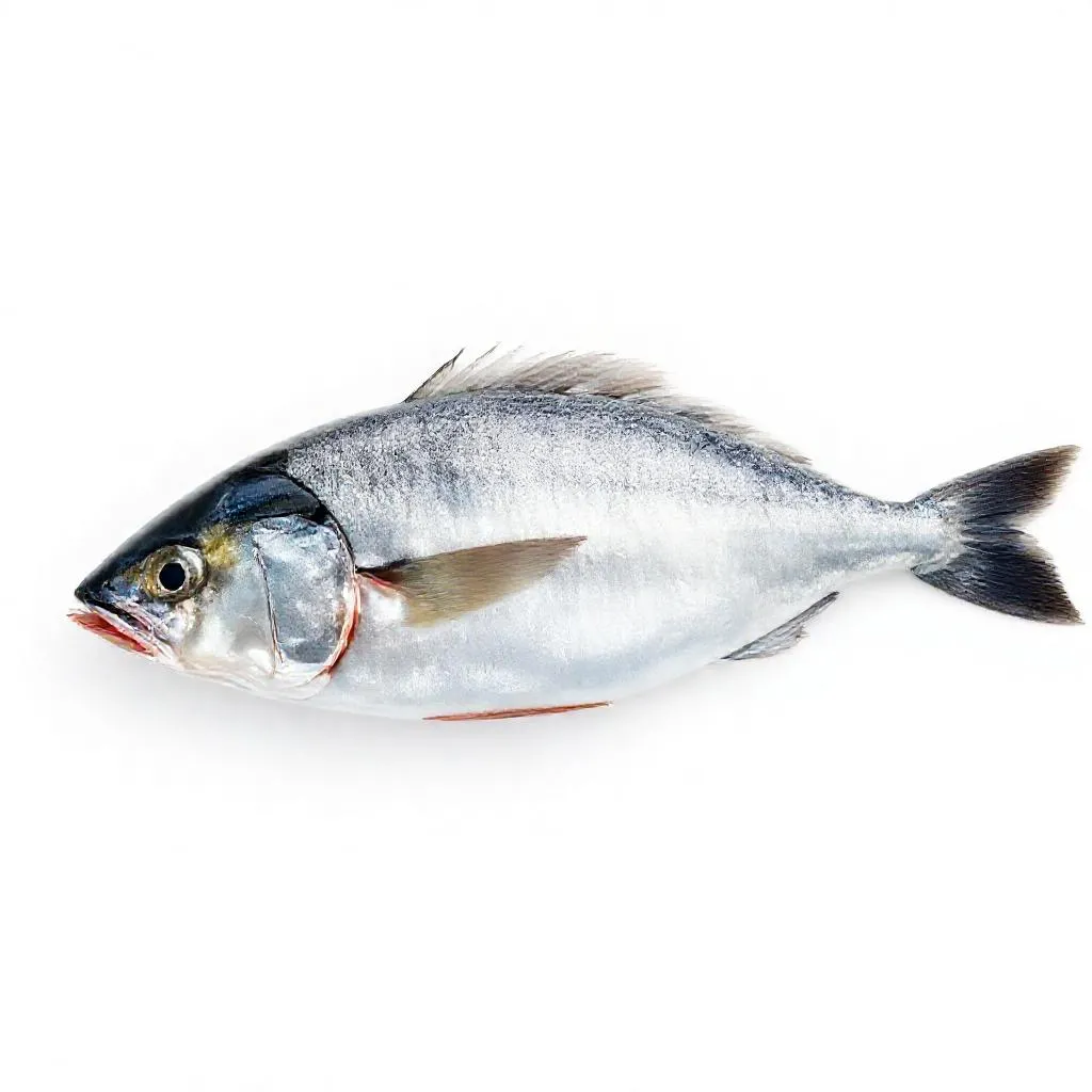 강아지 고등어 먹어도 되나요? 안전성 및 주의사항